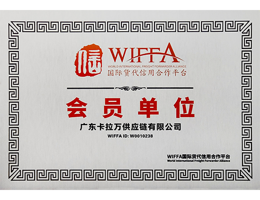 Организация-член WIFFA